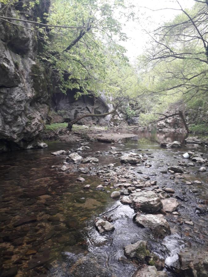 Etno Kuca Badejevic Plavna Exterior foto